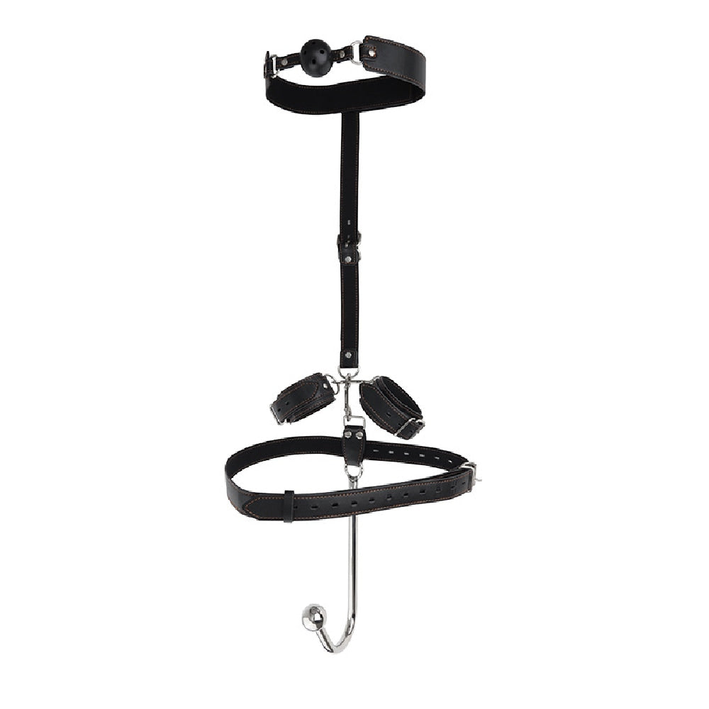 BDSM Anal Hook and Bondage Restraint Set Loveplugs Anal Plug Product Available For Purchase Image 1