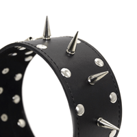 Spiked Leather Collar With Leash Loveplugs Anal Plug Product Available For Purchase Image 23