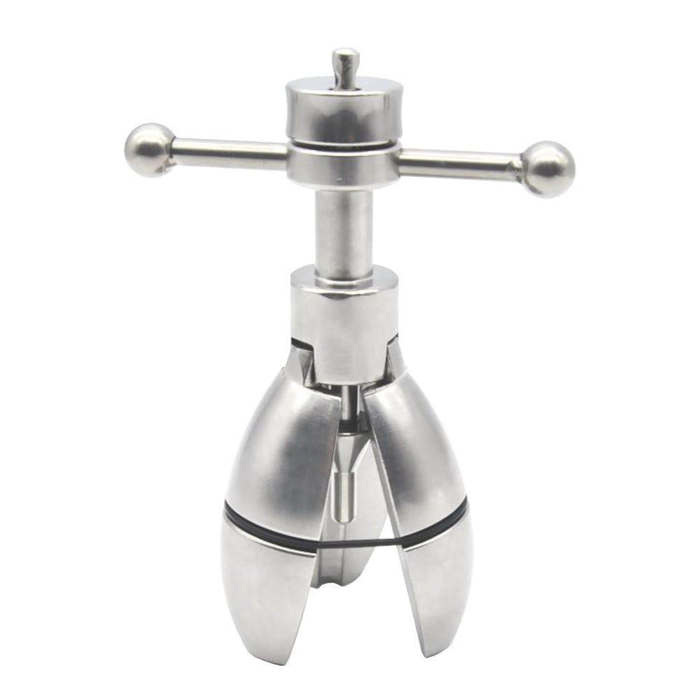 Expand her experience with sex toys locking at your own pace using this dilator, steel tool designed for gradual pleasure and control.