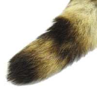 Elevate your encounters with this luxurious stainless steel plug featuring black, brown, fur, and a stunning raccoon tail. sex toys