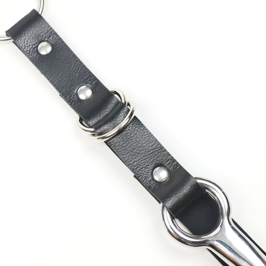 Kinky Anal Hook with Collar and Leash Loveplugs Anal Plug Product Available For Purchase Image 44