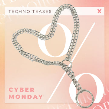 Twin Alloy Slave Chain Collar