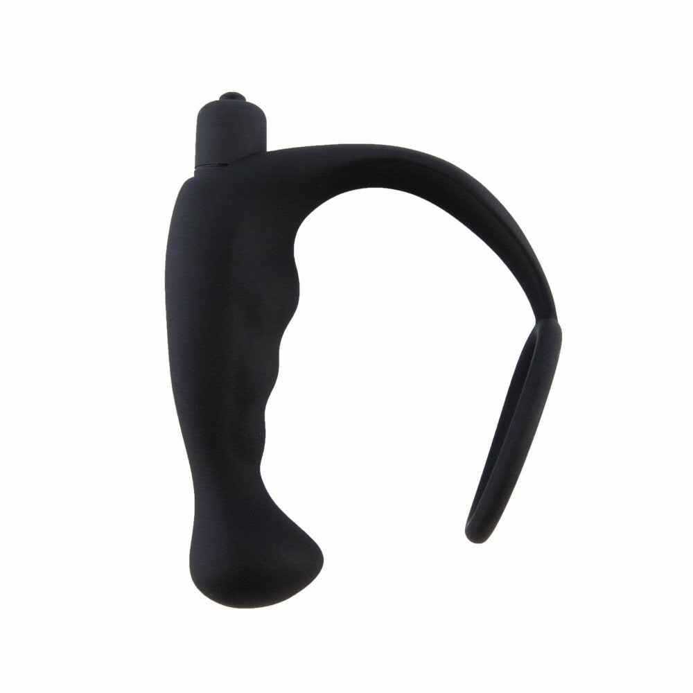 Prostate Ribbed Massager with Ring Loveplugs Anal Plug Product Available For Purchase Image 3
