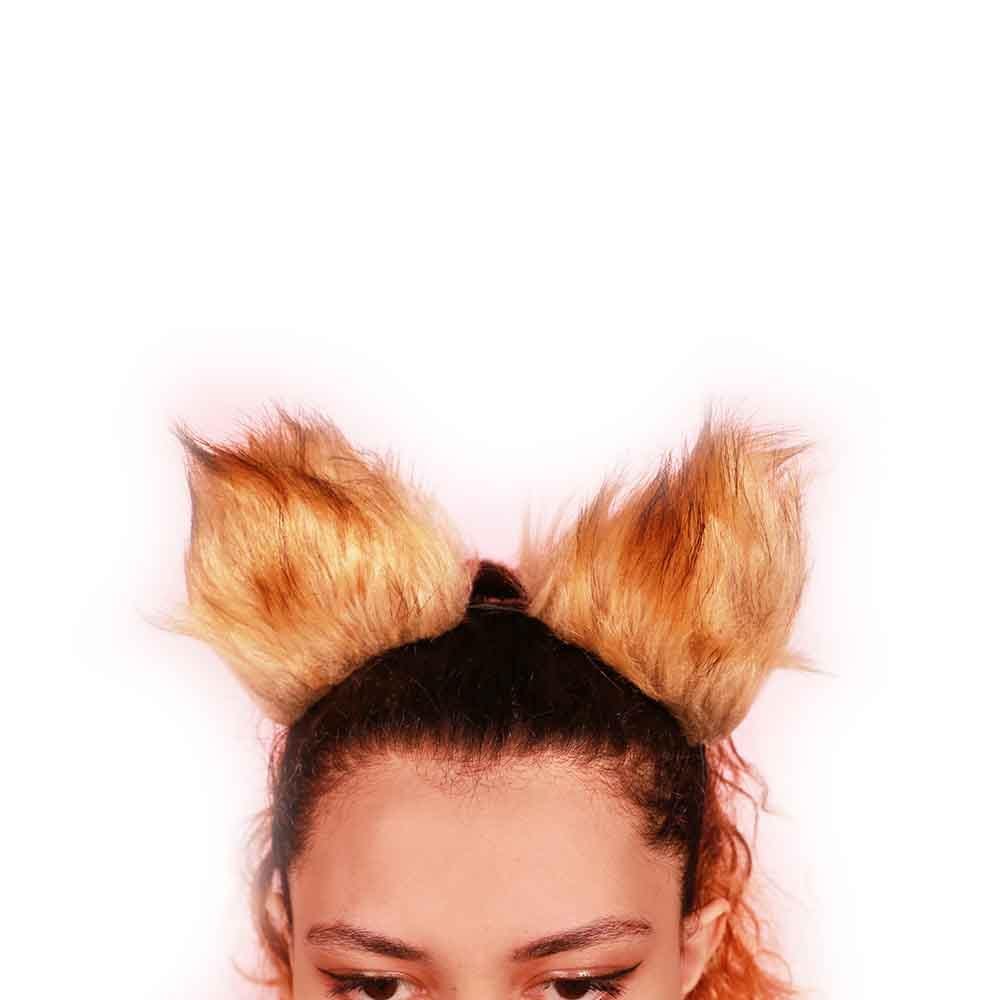 Brown Pet Tiger Ears